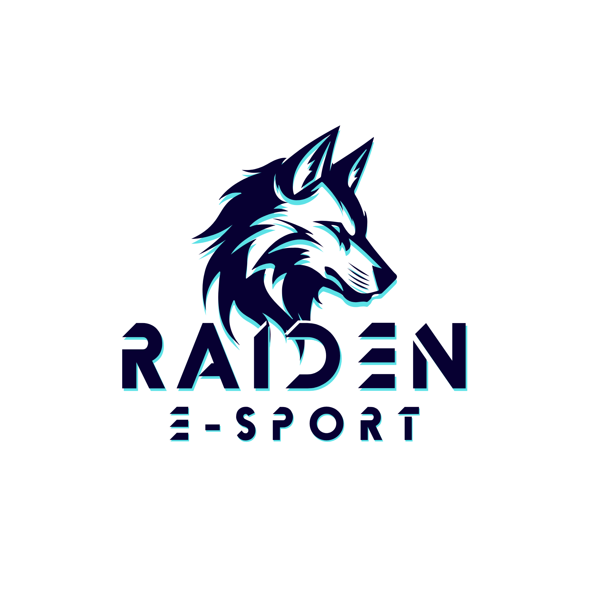 RAIDEN E-Sport
